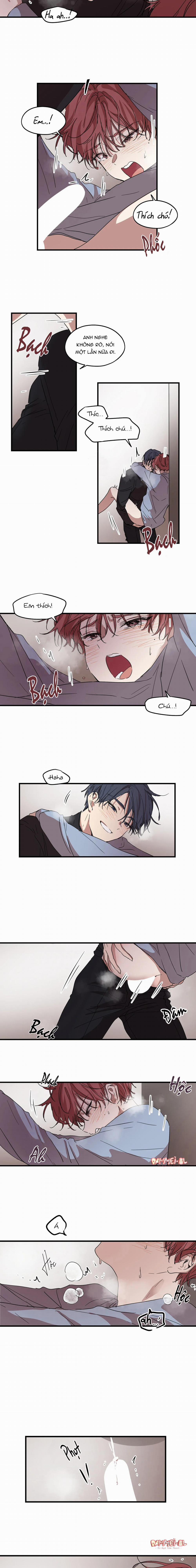 Bạn Cùng Phòng Chuẩn Gu 17 trang 4