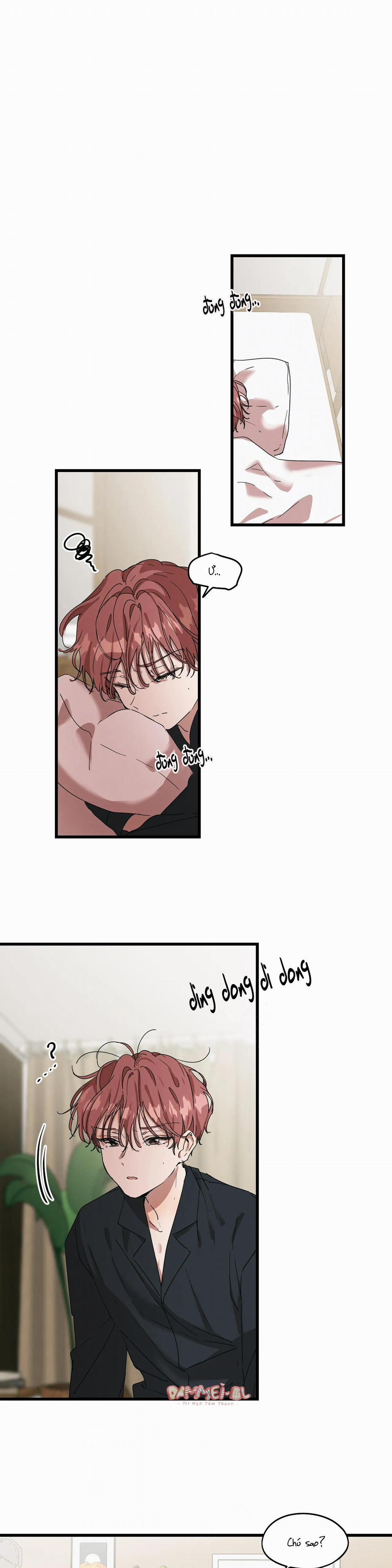 Bạn Cùng Phòng Chuẩn Gu 19 trang 14