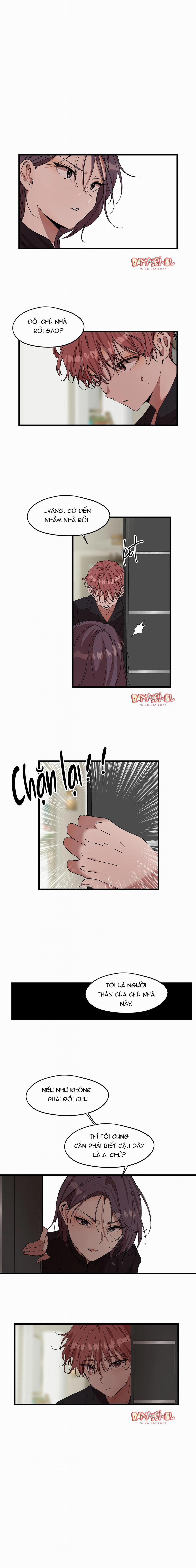 Bạn Cùng Phòng Chuẩn Gu 20 trang 1