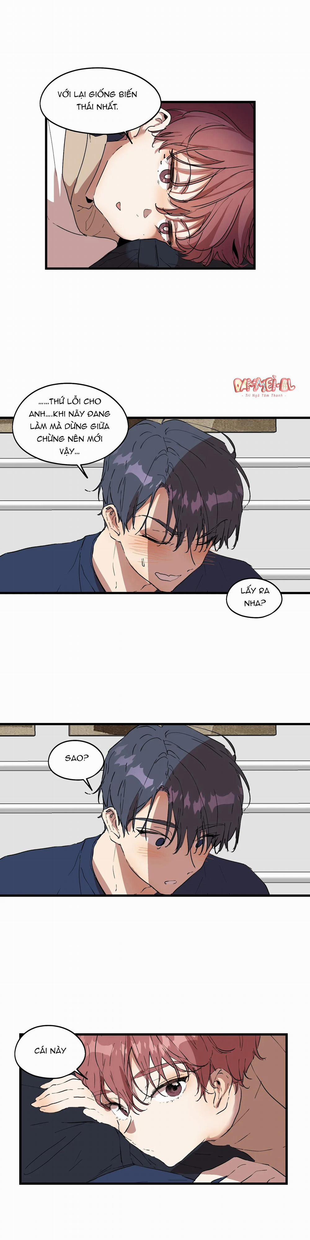 Bạn Cùng Phòng Chuẩn Gu 29 trang 15