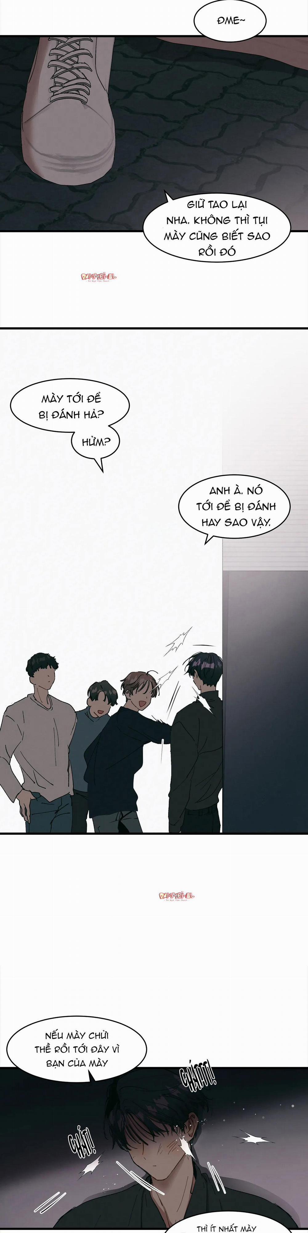 Bạn Cùng Phòng Chuẩn Gu 9 trang 12