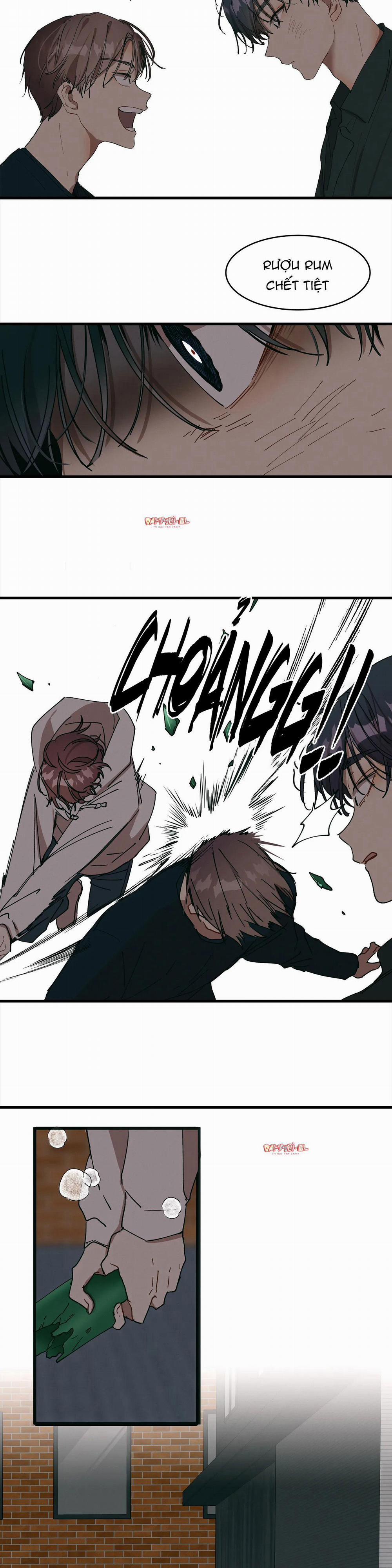 Bạn Cùng Phòng Chuẩn Gu 9 trang 15