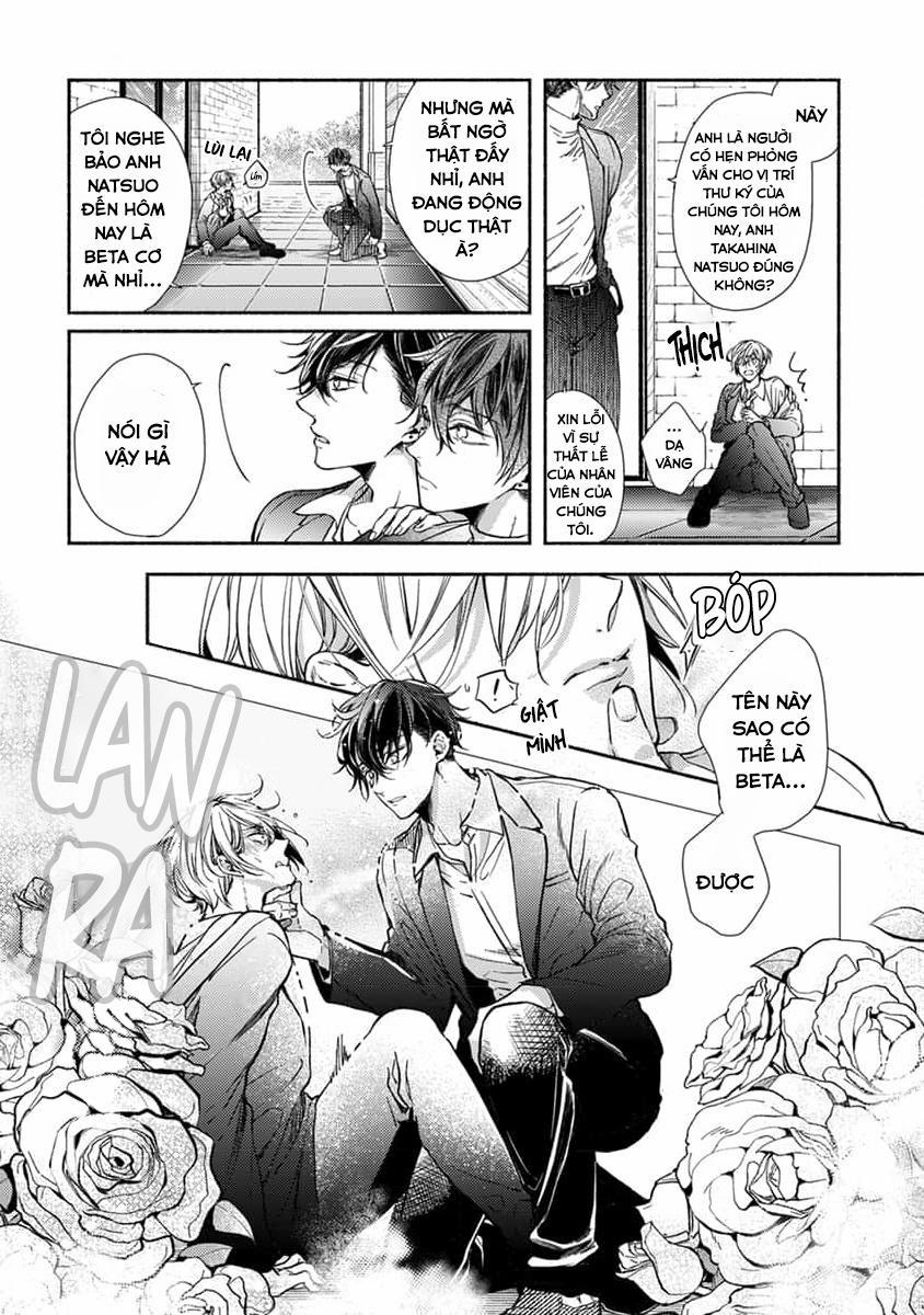 Bạn Đời Của Chúng Tôi Là Một Omega Bướng Bỉnh 1 trang 12