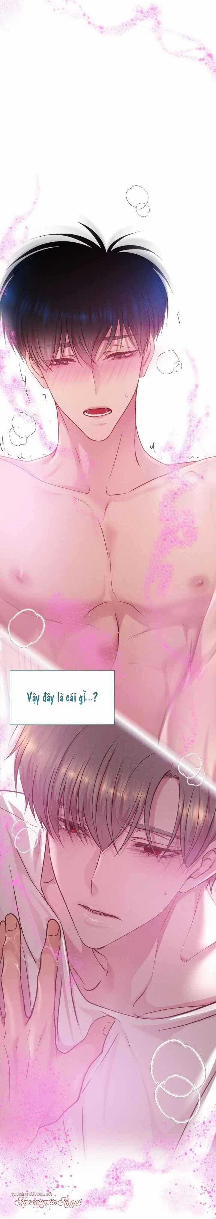 Bạn Đời Định Mệnh 1 trang 3