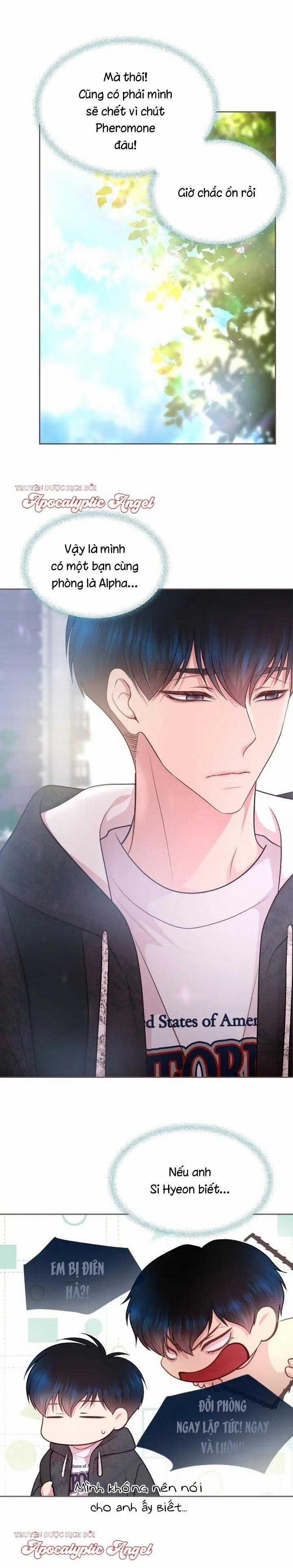 Bạn Đời Định Mệnh 10 trang 11