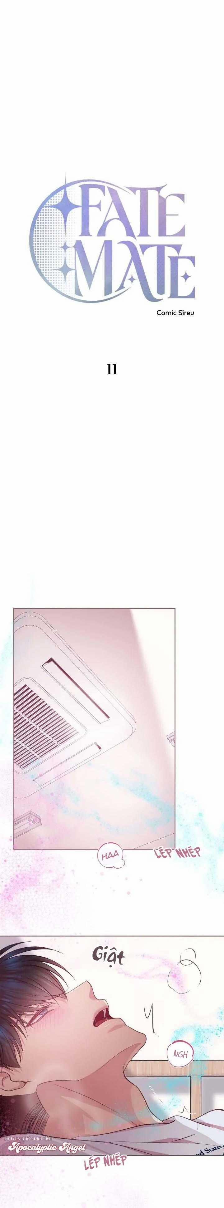 Bạn Đời Định Mệnh 11 trang 11