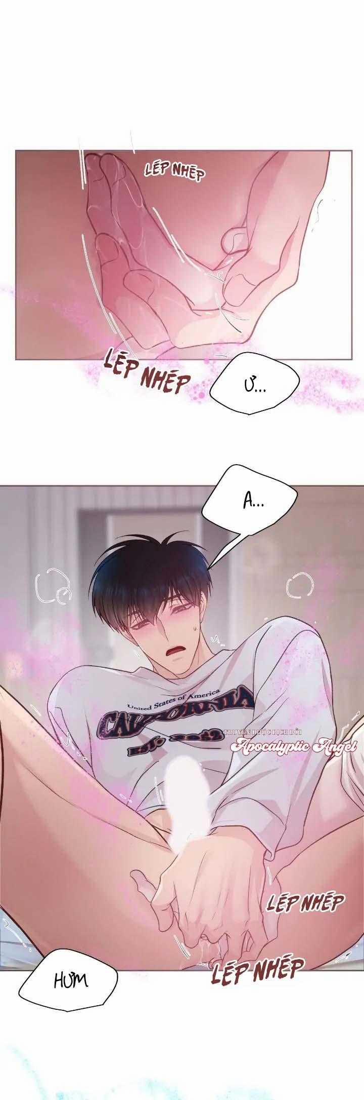 Bạn Đời Định Mệnh 11 trang 16