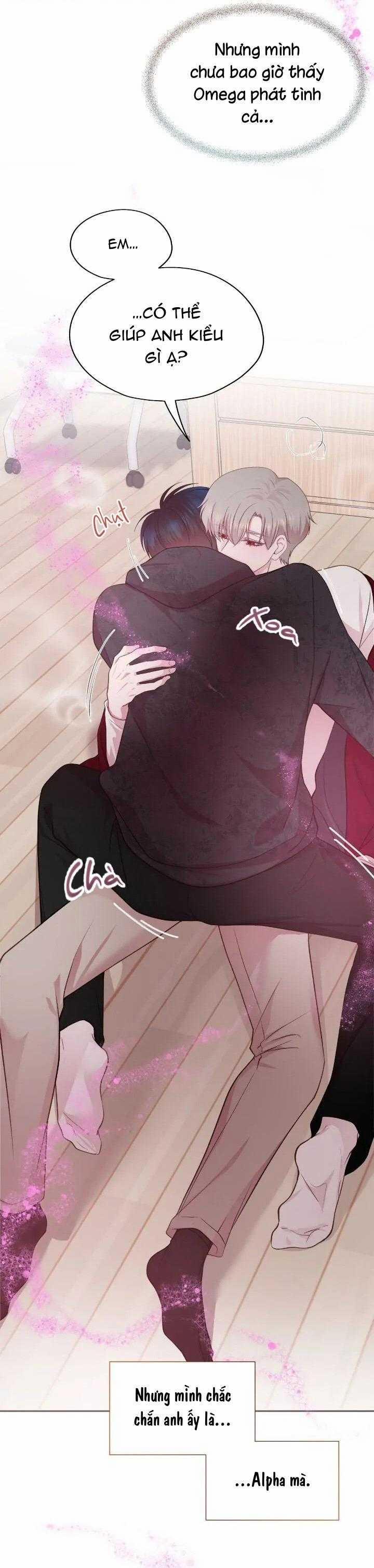 Bạn Đời Định Mệnh 11 trang 2