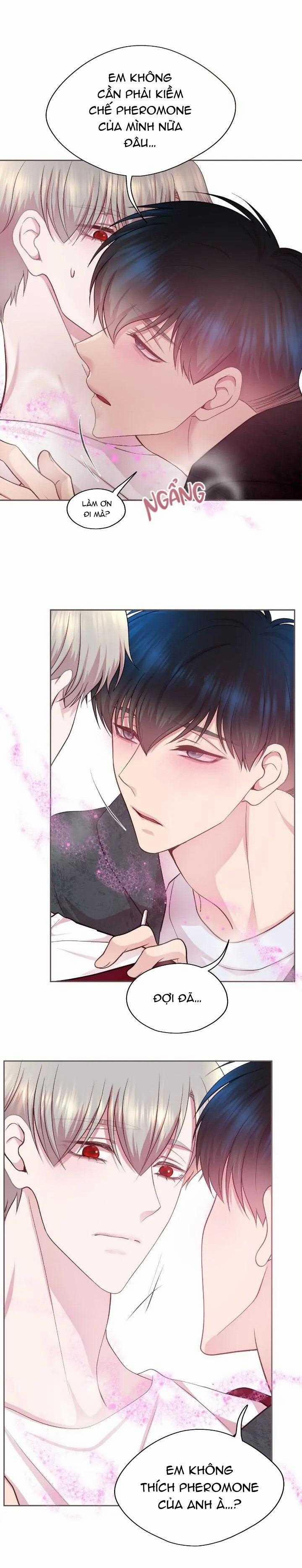 Bạn Đời Định Mệnh 11 trang 4