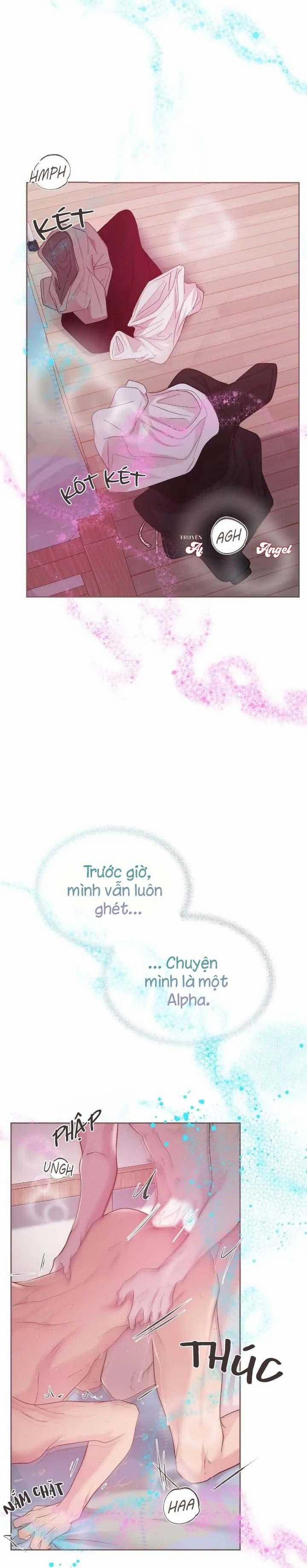 Bạn Đời Định Mệnh 12 trang 15