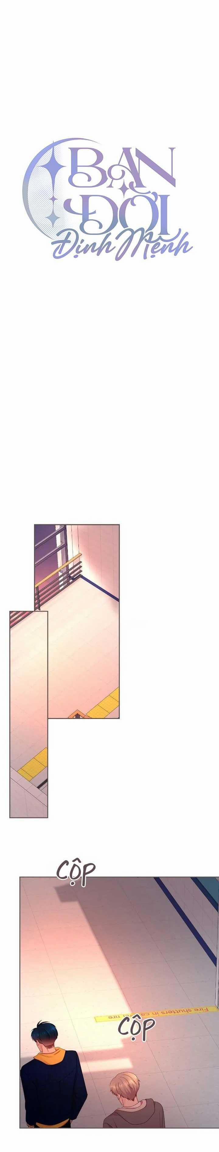 Bạn Đời Định Mệnh 14 trang 13