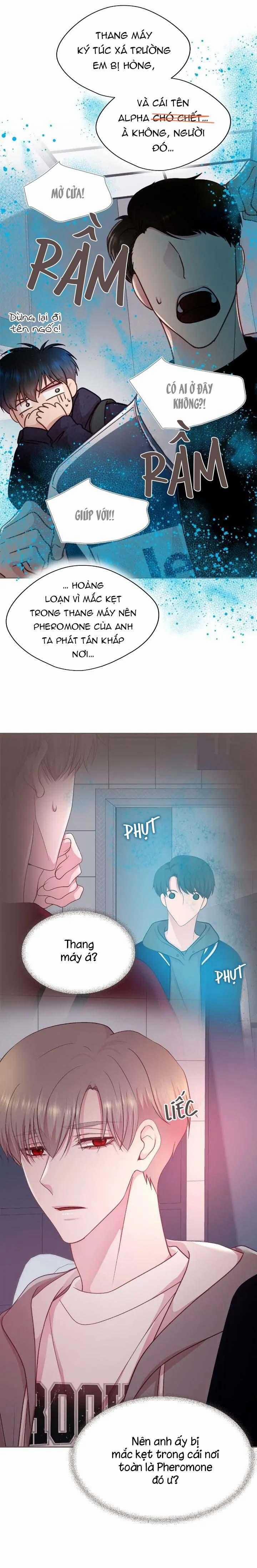 Bạn Đời Định Mệnh 14 trang 5