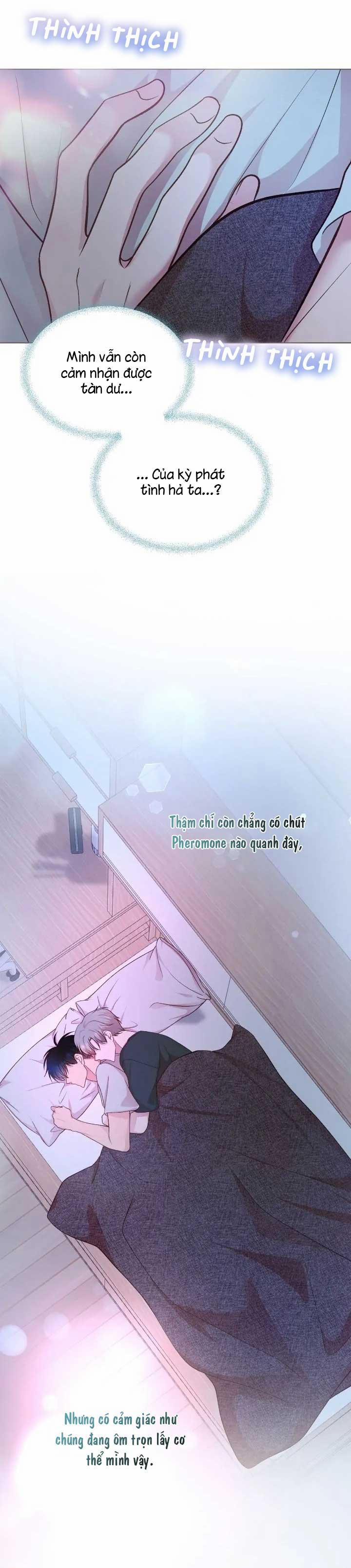 Bạn Đời Định Mệnh 15 trang 11