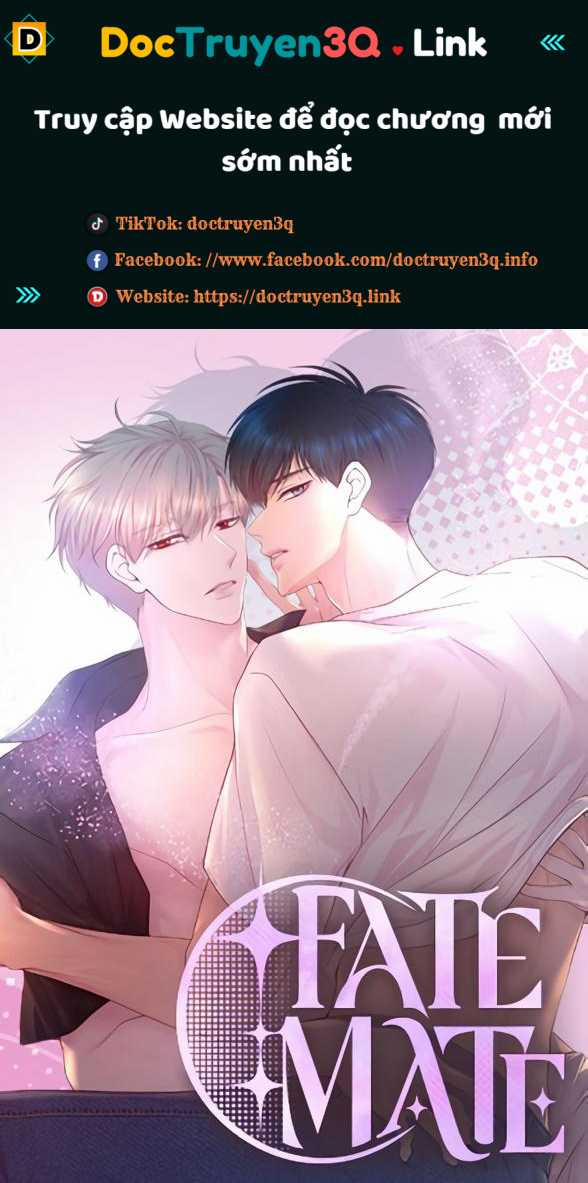 Bạn Đời Định Mệnh 17 trang 0