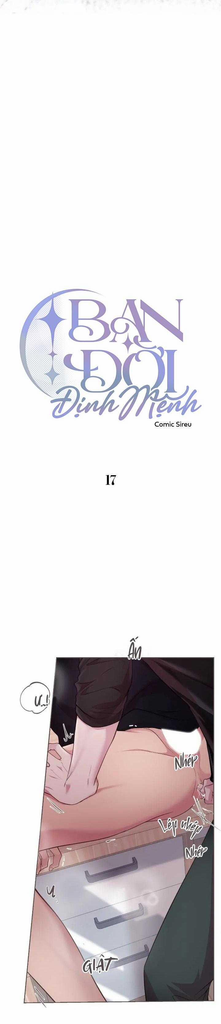 Bạn Đời Định Mệnh 17 trang 5