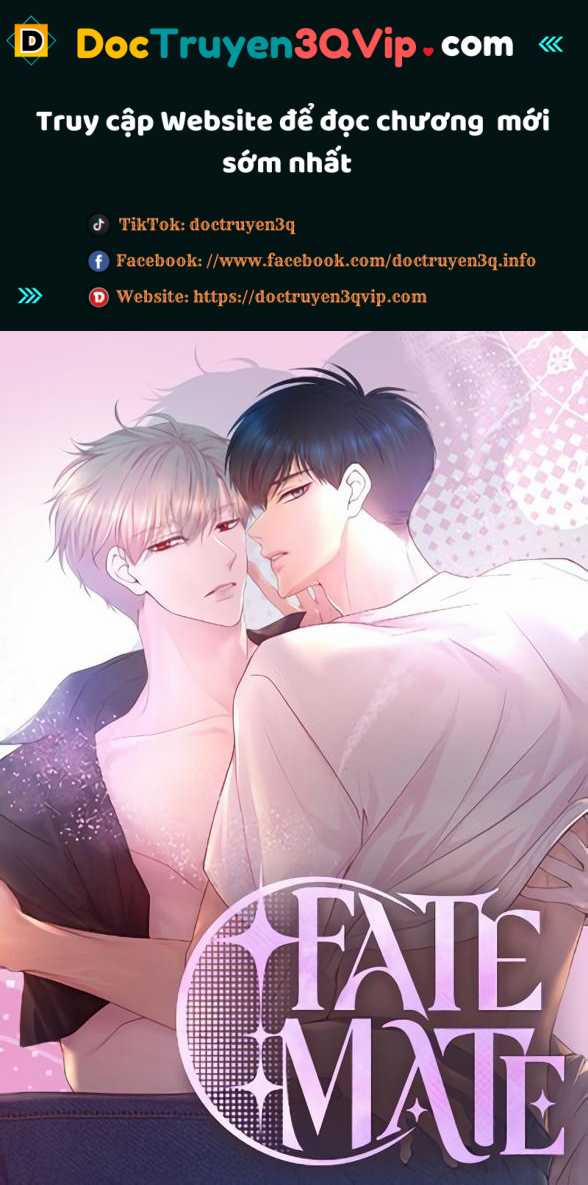 Bạn Đời Định Mệnh 3 trang 0