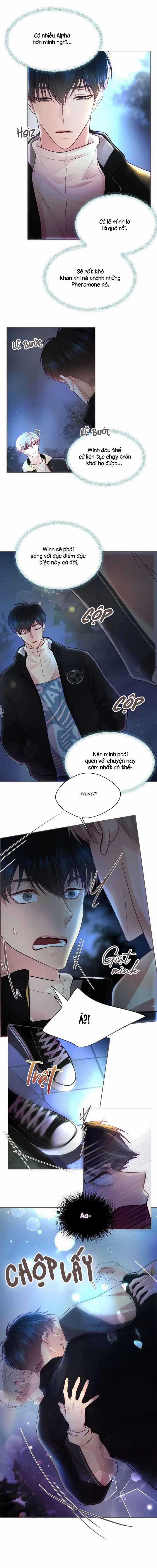 Bạn Đời Định Mệnh 5 trang 16