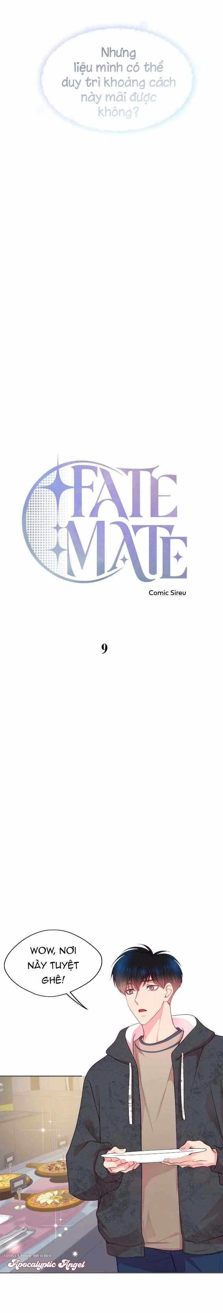 Bạn Đời Định Mệnh 9 trang 17