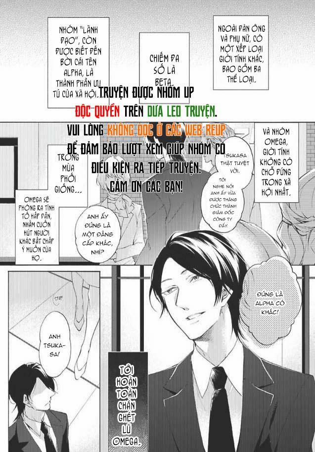 Bạn Đời Giả Dối 1 trang 0