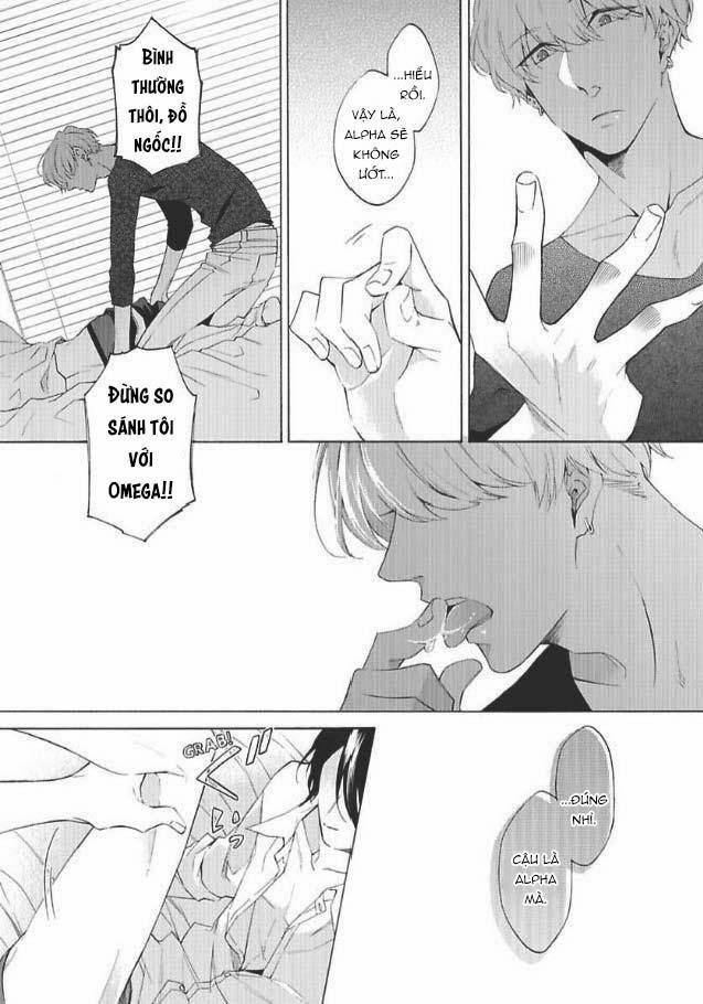 Bạn Đời Giả Dối 1 trang 22