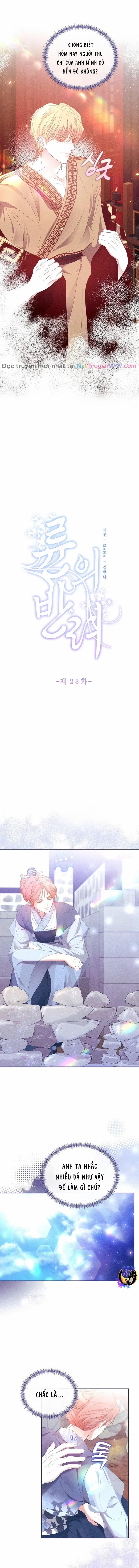 Bạn Đồng Hành Của Ryun 23 trang 2