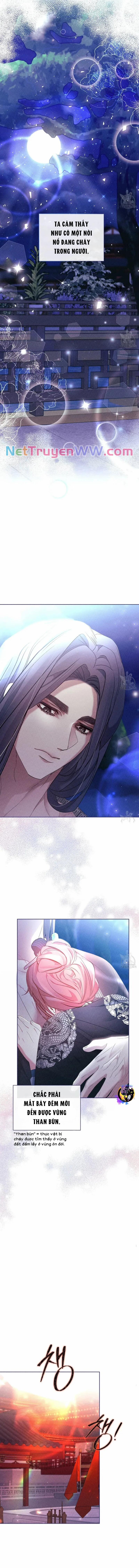 Bạn Đồng Hành Của Ryun 25 trang 5