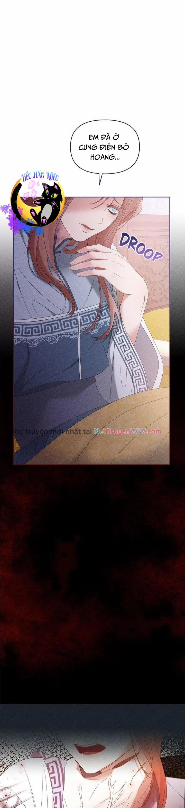 Bạn Đồng Hành Của Ryun 29 trang 2