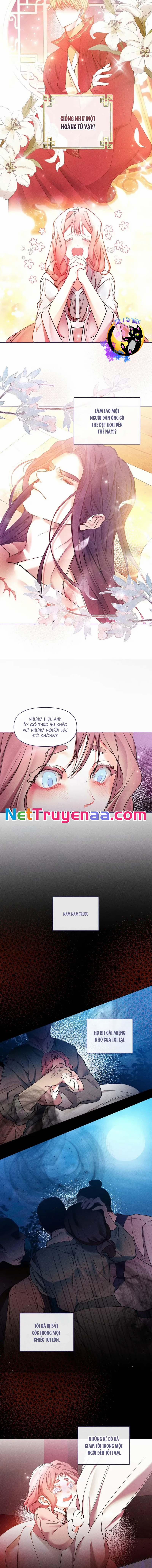 Bạn Đồng Hành Của Ryun 3 trang 9