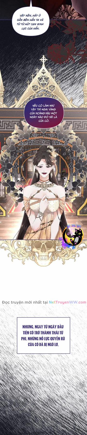 Bạn Đồng Hành Của Ryun 36 trang 5