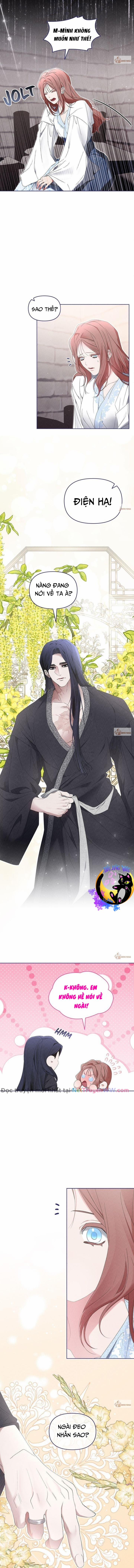 Bạn Đồng Hành Của Ryun 39 trang 4