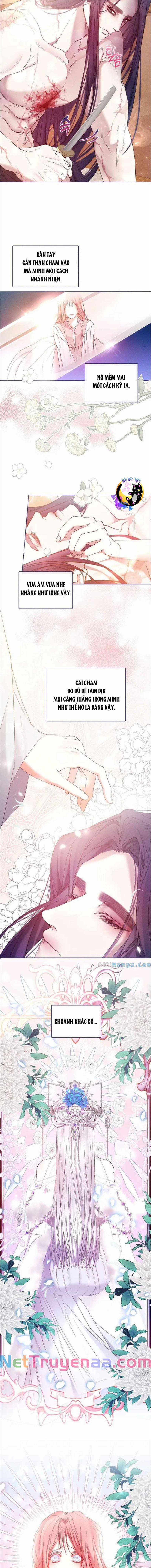 Bạn Đồng Hành Của Ryun 5 trang 0