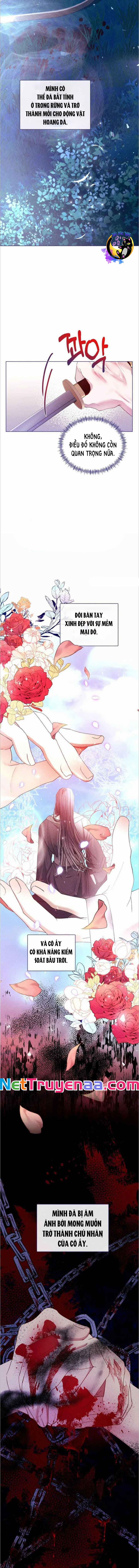 Bạn Đồng Hành Của Ryun 5 trang 2