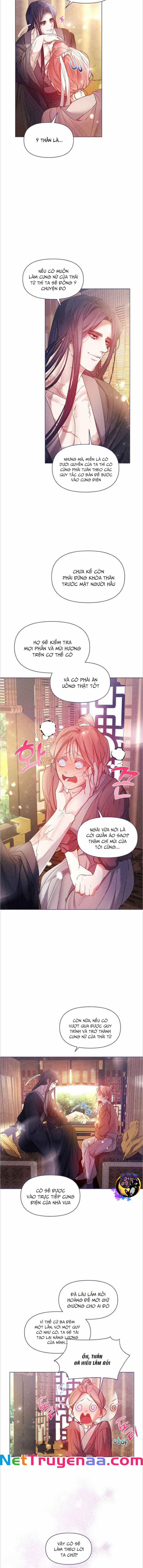 Bạn Đồng Hành Của Ryun 6 trang 3