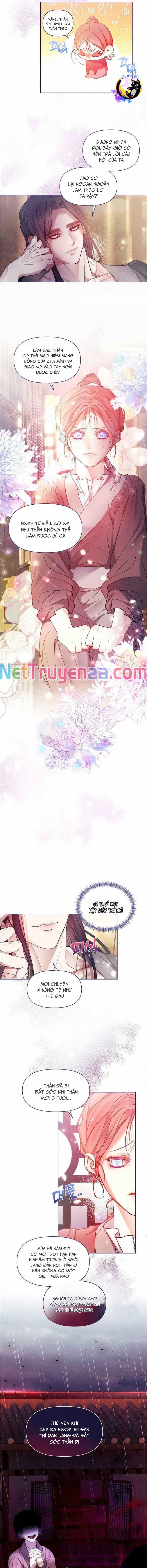 Bạn Đồng Hành Của Ryun 6 trang 4