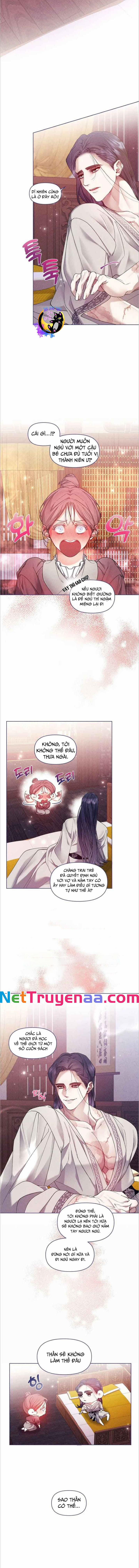 Bạn Đồng Hành Của Ryun 8 trang 3