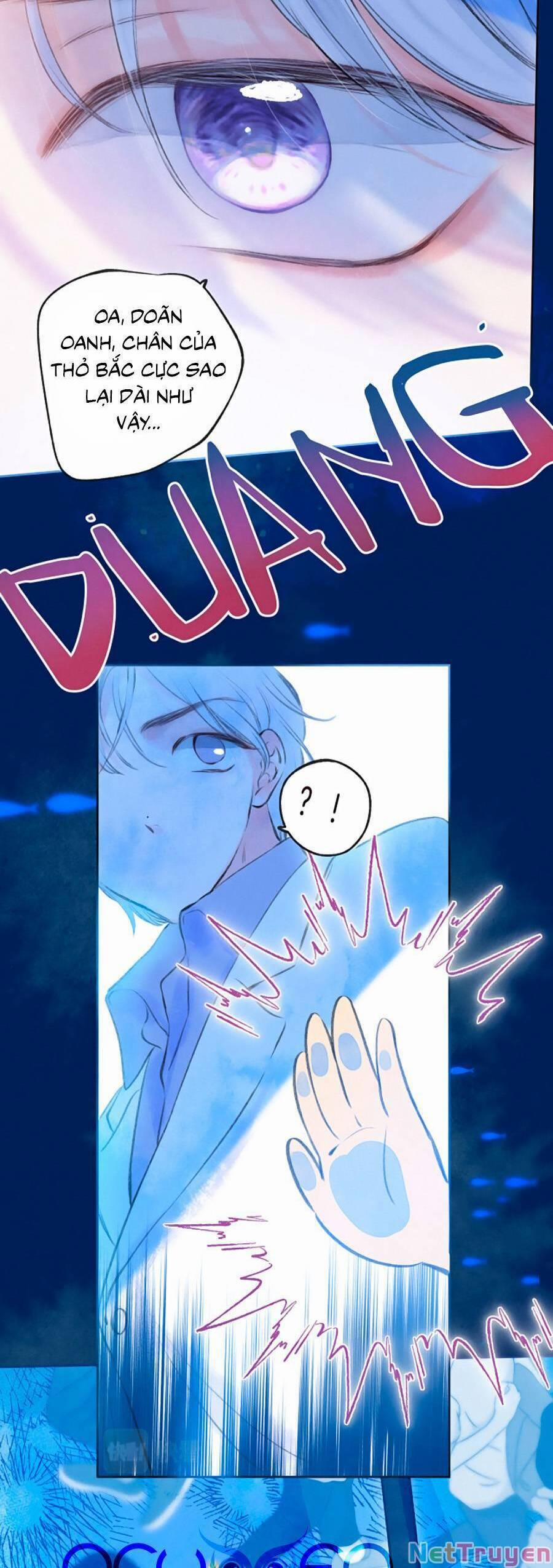 Bạn Gái Tôi Ấm Áp Tựa Như Xương Rồng Nở Hoa 14 trang 17