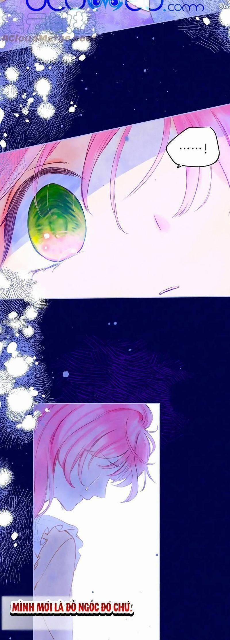 Bạn Gái Tôi Ấm Áp Tựa Như Xương Rồng Nở Hoa 20 trang 19