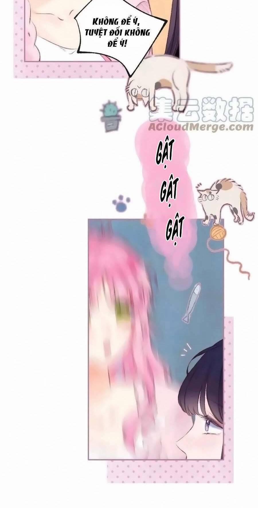 Bạn Gái Tôi Ấm Áp Tựa Như Xương Rồng Nở Hoa 27 trang 17