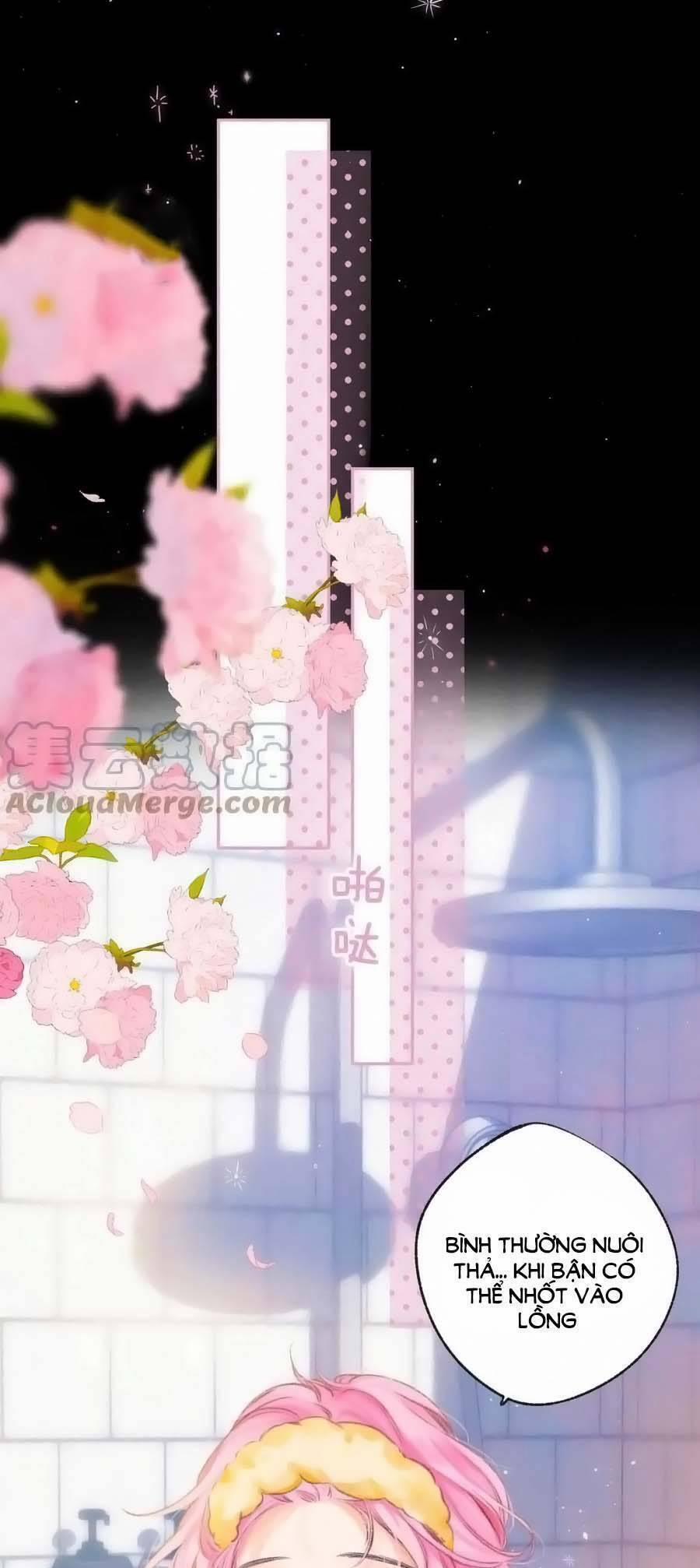 Bạn Gái Tôi Ấm Áp Tựa Như Xương Rồng Nở Hoa 27 trang 34