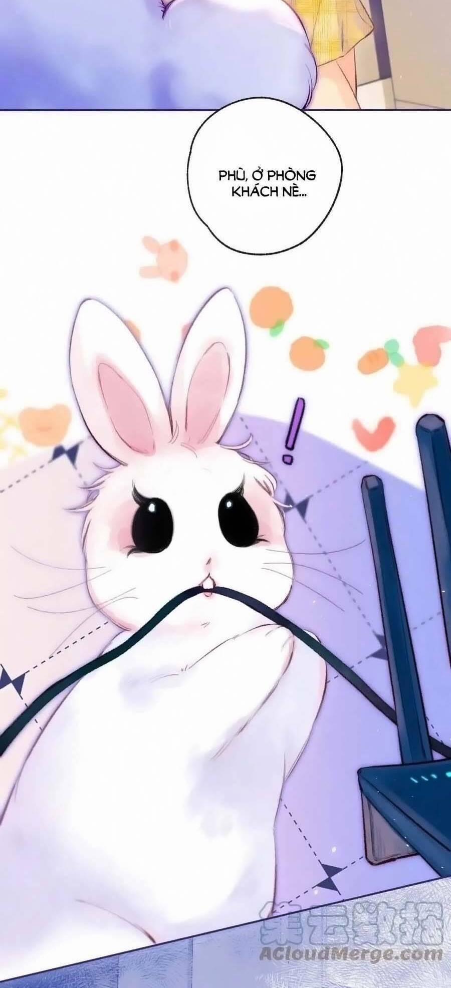 Bạn Gái Tôi Ấm Áp Tựa Như Xương Rồng Nở Hoa 27 trang 39