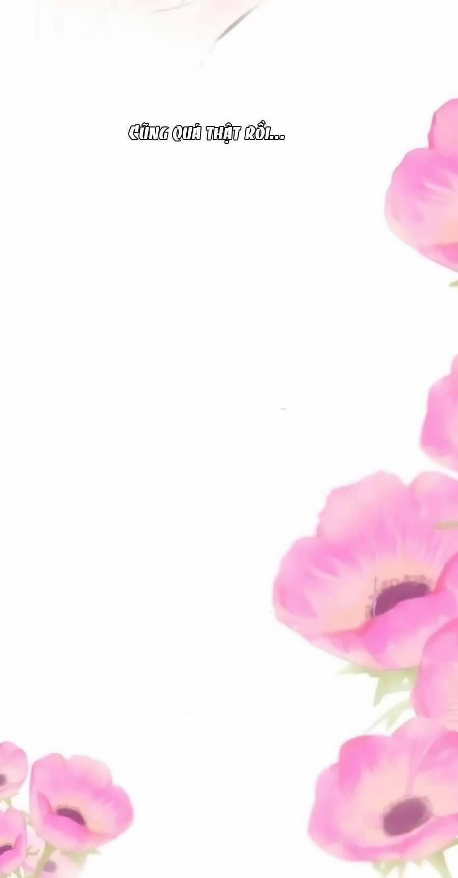 Bạn Gái Tôi Ấm Áp Tựa Như Xương Rồng Nở Hoa 37 trang 5