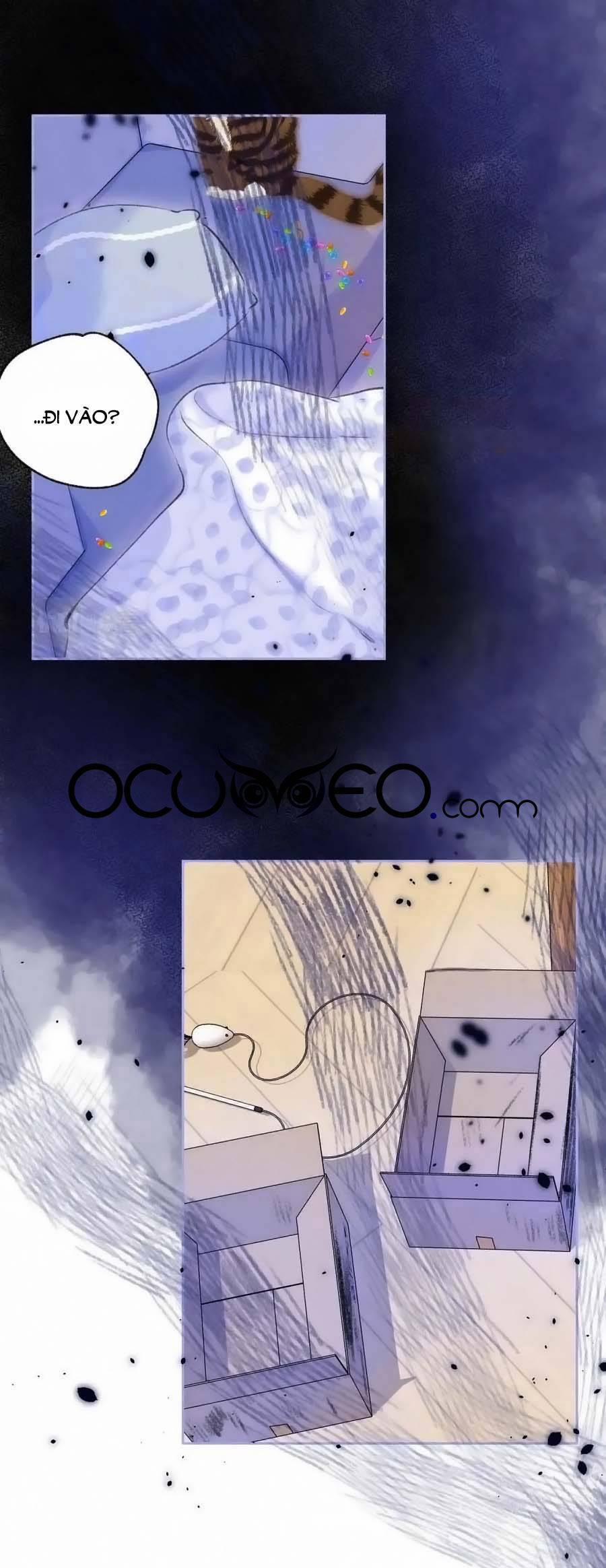 Bạn Gái Tôi Ấm Áp Tựa Như Xương Rồng Nở Hoa 38 trang 0