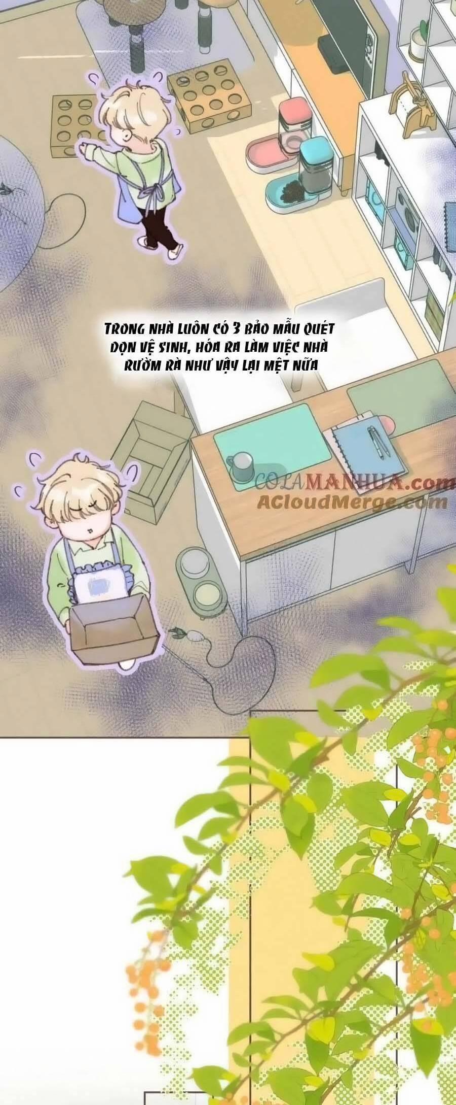 Bạn Gái Tôi Ấm Áp Tựa Như Xương Rồng Nở Hoa 38 trang 17