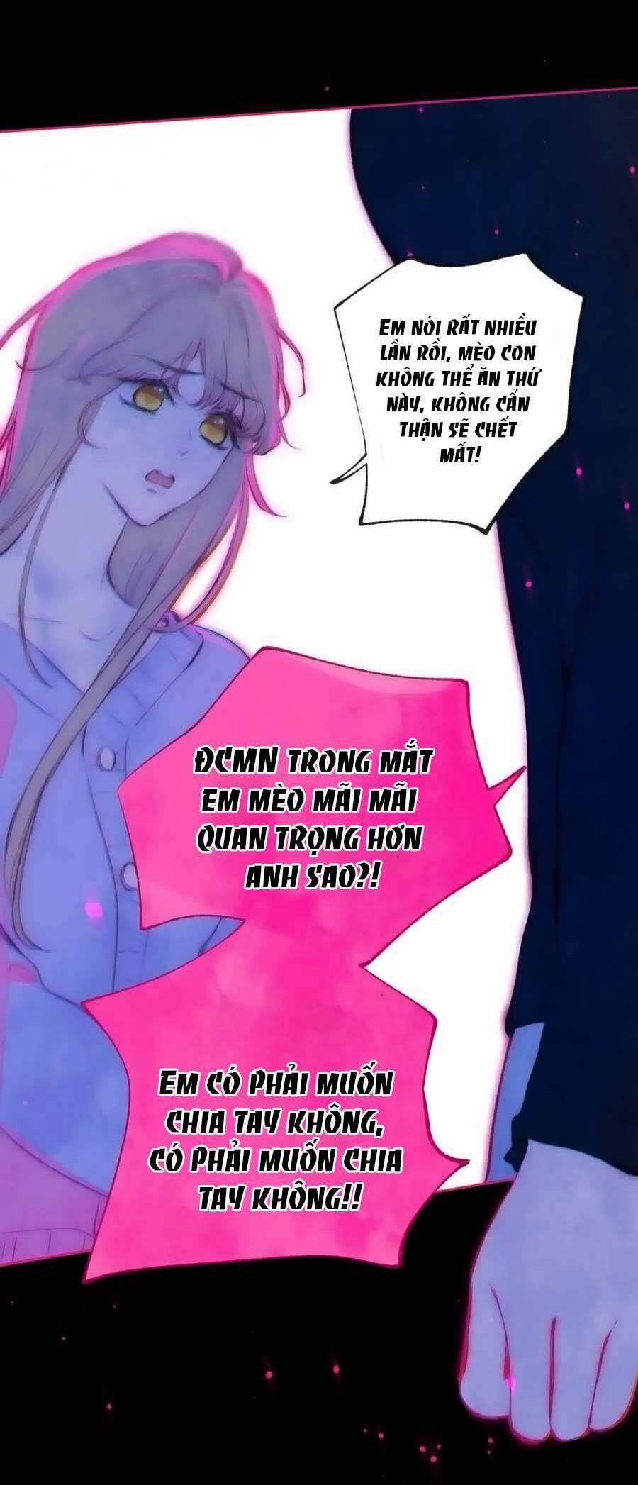 Bạn Gái Tôi Ấm Áp Tựa Như Xương Rồng Nở Hoa 39 trang 15