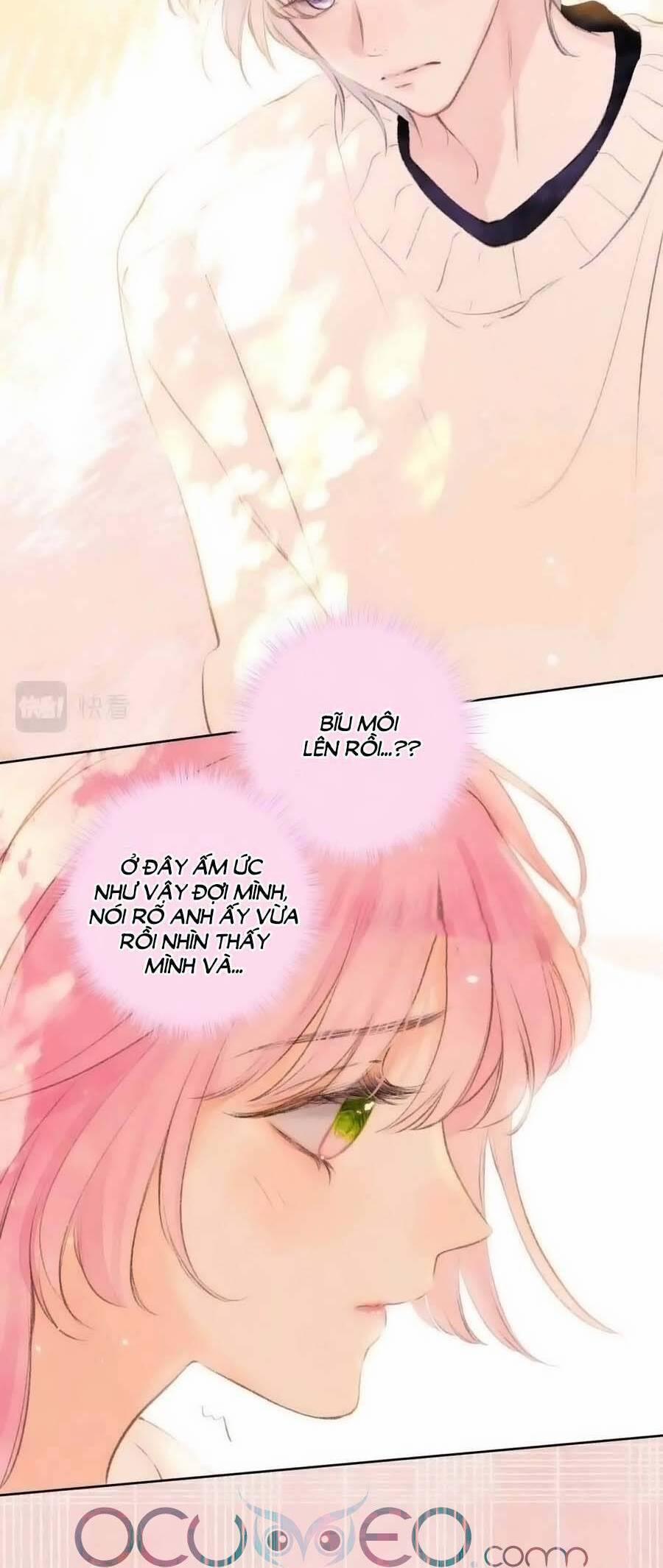 Bạn Gái Tôi Ấm Áp Tựa Như Xương Rồng Nở Hoa 41 trang 2