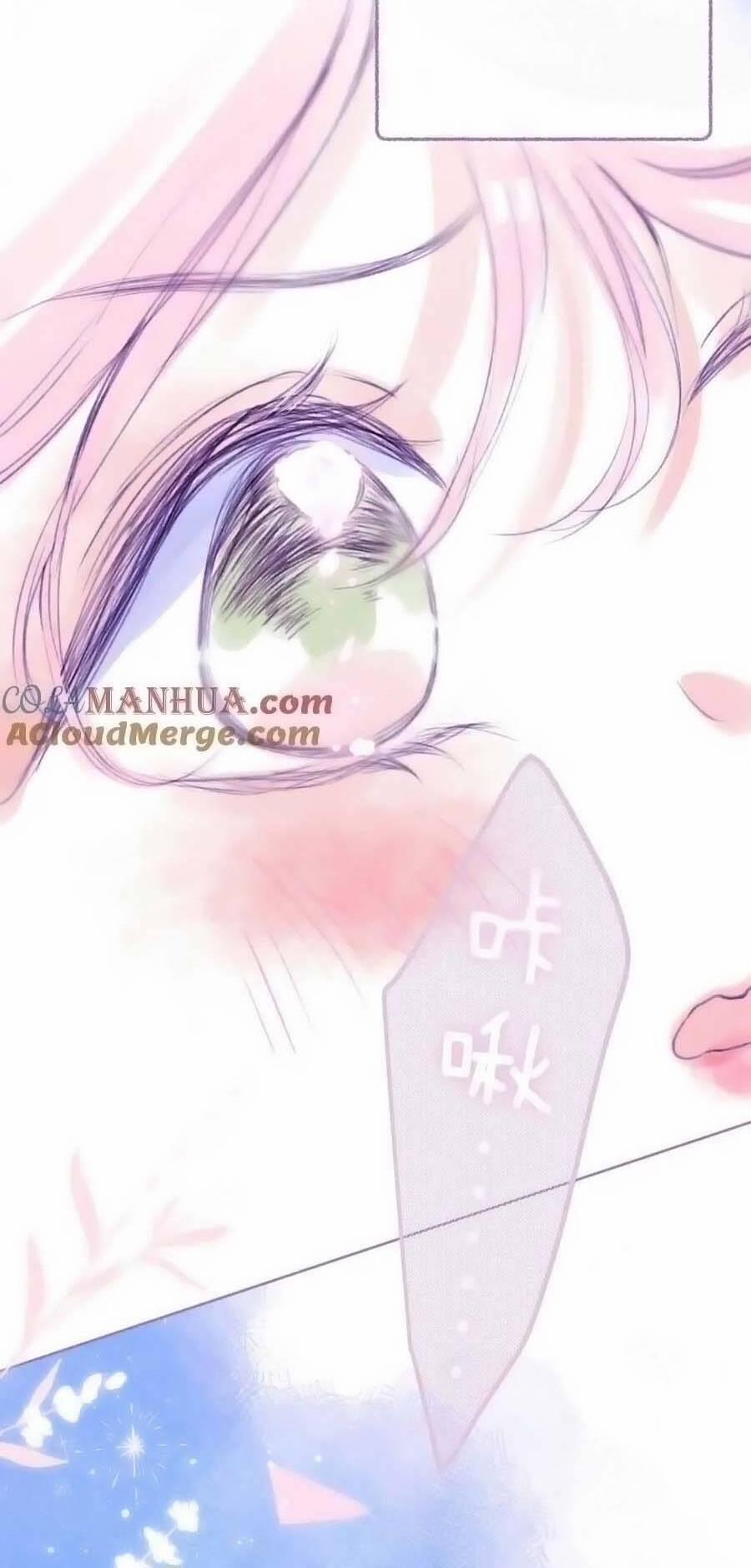 Bạn Gái Tôi Ấm Áp Tựa Như Xương Rồng Nở Hoa 42.5 trang 12