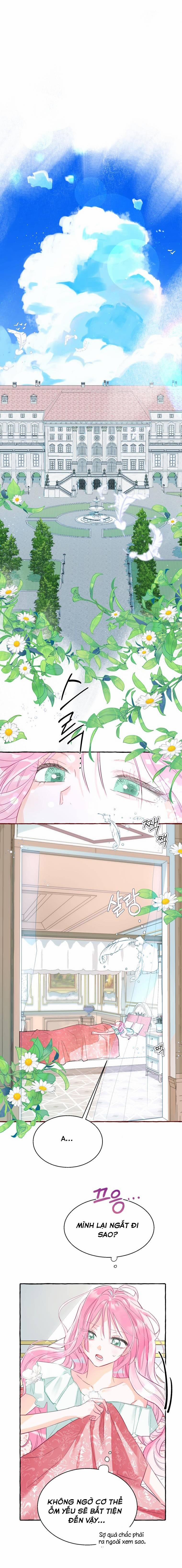 Bạn Sẽ Chết Nếu Không Biết Luật Tiểu Thuyết 1 trang 11