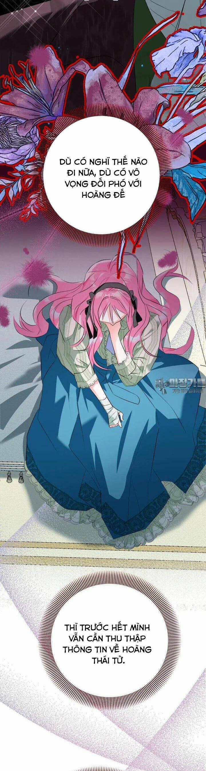 Bạn Sẽ Chết Nếu Không Biết Luật Tiểu Thuyết 32 trang 15