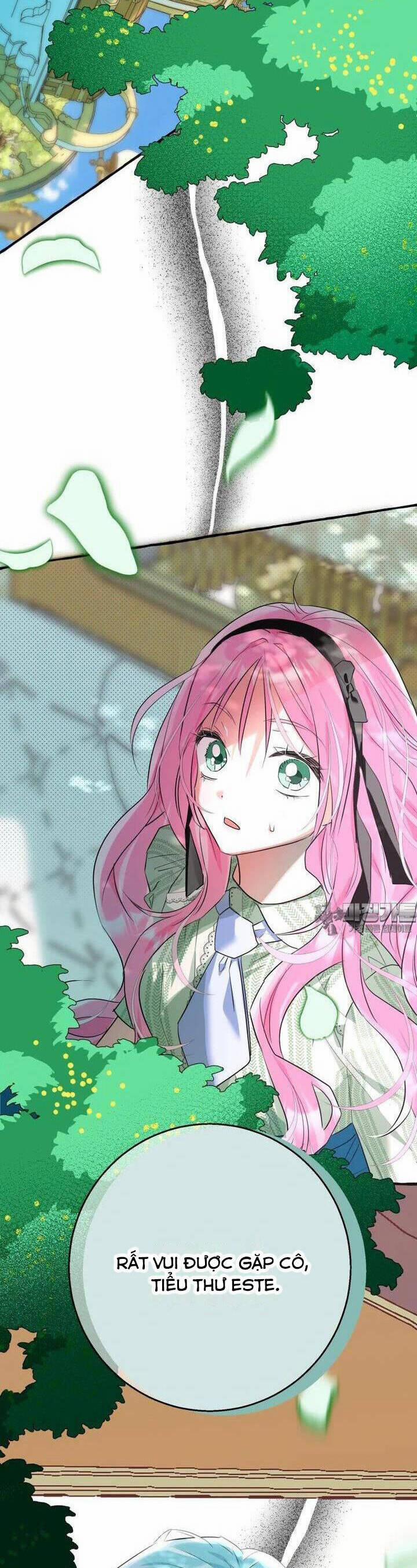 Bạn Sẽ Chết Nếu Không Biết Luật Tiểu Thuyết 32 trang 38