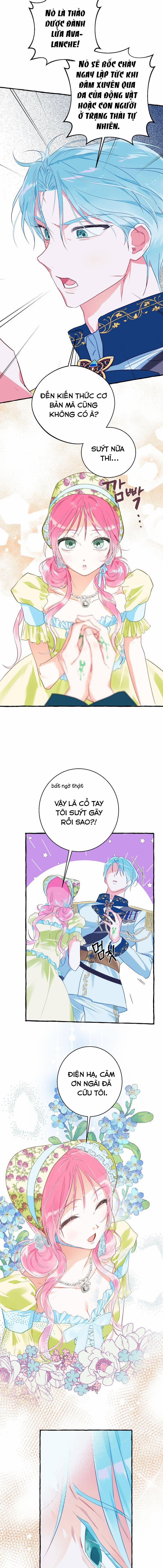 Bạn Sẽ Chết Nếu Không Biết Luật Tiểu Thuyết 5 trang 5